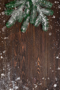 圣诞fir树图片