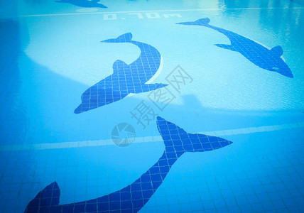 游泳池蓝色水面上游泳池的游泳池瓷图片