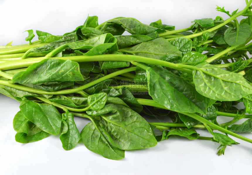 马拉巴尔菠菜分离新鲜绿色蔬菜马拉巴尔菠菜或锡兰菠菜分图片