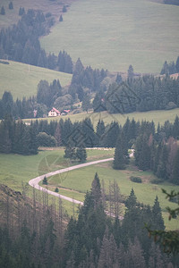 通往斯洛伐克山丘的绿色草原上的国土沙砾路古背景图片