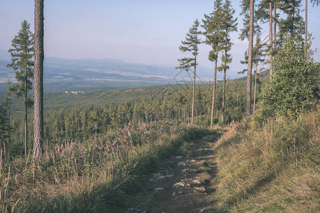 斯洛伐克通往山丘的通图片