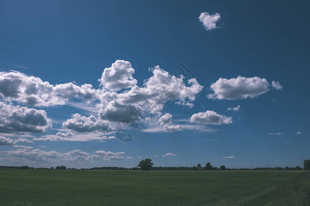 蓝天下风景如画的绿色田野云朵蓬松图片