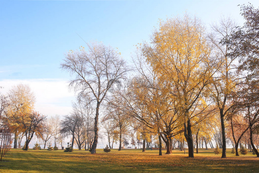秋季公园景观图片