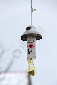 有趣的鸟喂养者冬天的鸟喂图片