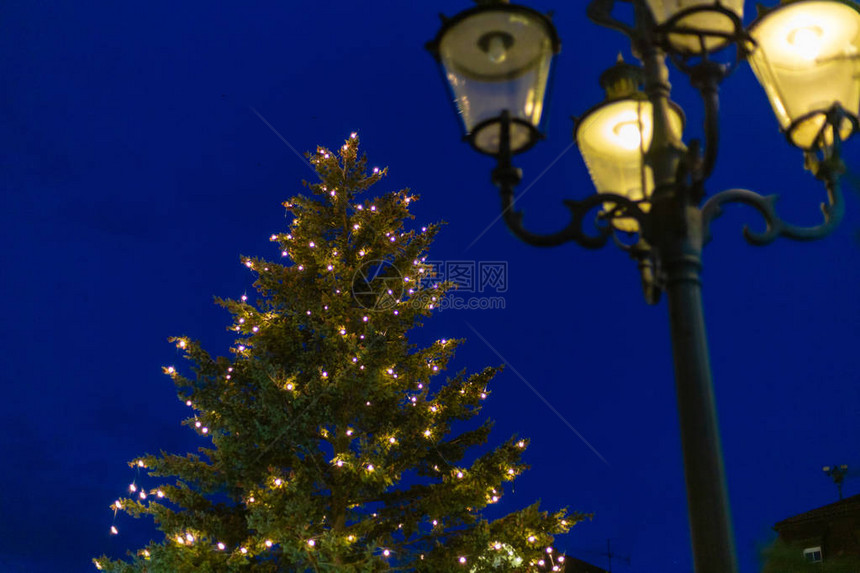 圣诞节树灯在市场之地的圣诞树灯下图片