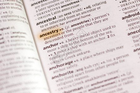 字典中的单词或句Agentry用图片