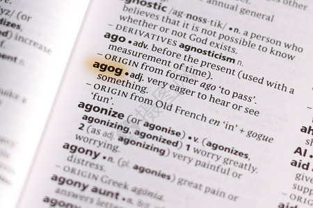 Agog字典中的单词或短语用图片