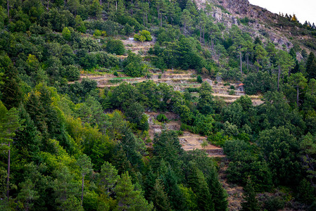 山上的石头梯田有两间房子和森林高清图片