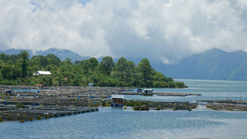 孤独的养鱼场位于阳光明媚的巴厘岛热带雨林附近的肥沃水域图片