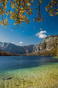 秋天在Bohijn湖的图片