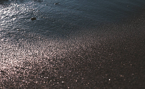 湿海沙质图片