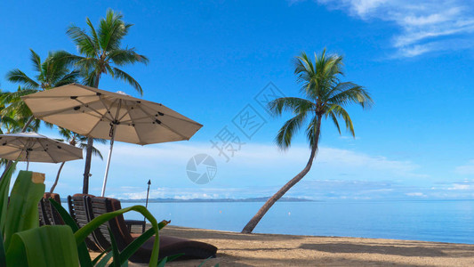 美丽的豪华酒店躺椅在库克群岛令人叹为观止的热带海滩的遮阳伞下休息图片