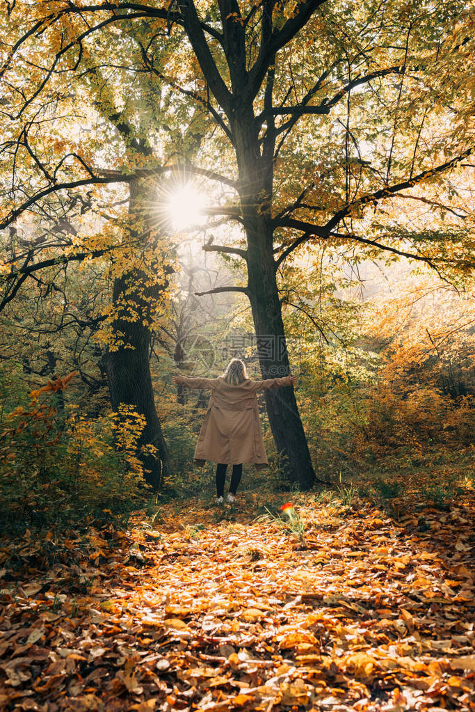秋天森林里张开双手站着的女人的背影图片