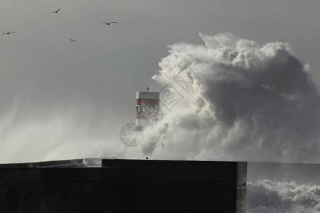 巨大的暴风海浪在码头和灯塔图片