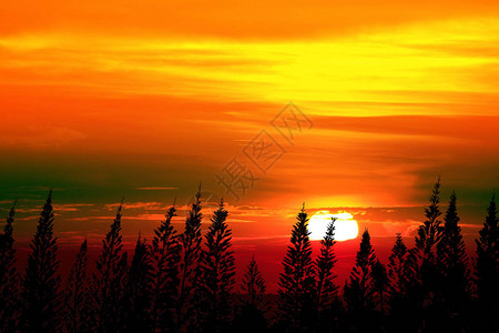 夕阳彩天云浮在人影松上背景图片