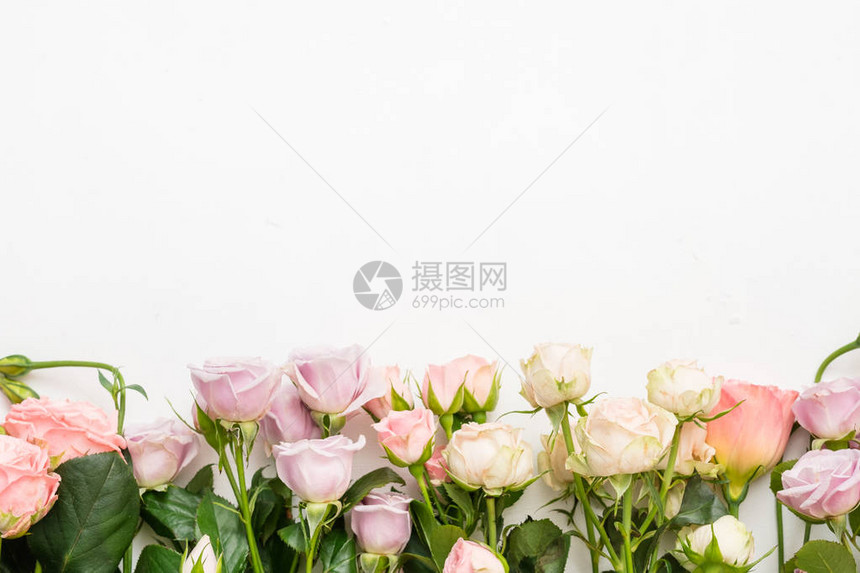 白色背景的玫瑰花朵布局排列在行图片