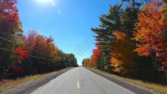 空旷的柏油路穿过风景秀丽的秋色森林空旷的小路风景如画图片