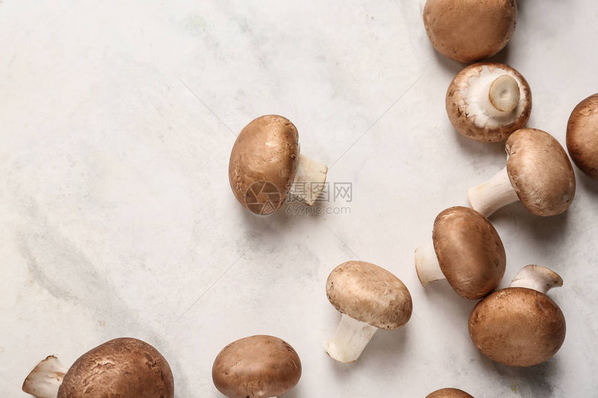 浅色背景中的新鲜蘑菇图片