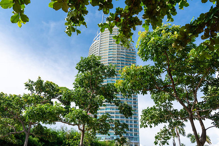 自然中的城市有天空背景和树前景的高楼建筑图片