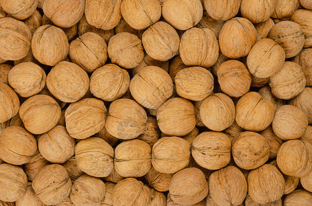 核桃背景普通核桃树核桃的带壳干燥种子一堆带壳的全坚果背景图片