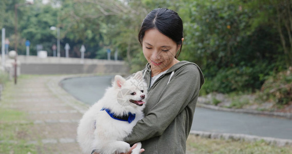 女人和波美图片