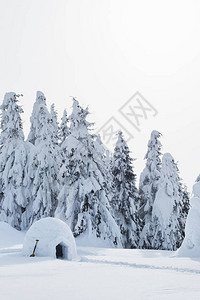 雪白的冬天在草原森林中从雪到旅游者栖图片