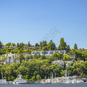 西雅图联合湖的沿海房屋和船只图片
