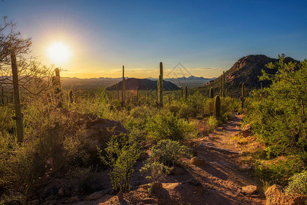 亚利桑那州Tucson附近的Saguaro公园的徒步足迹图片