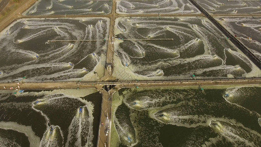 虾养殖与用于增氧水的曝气泵虾场鸟瞰水产养殖业务出口国际市场爪哇图片