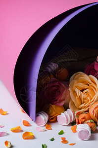 活玫瑰花框美丽的花卉背景春假的卡片模板图片