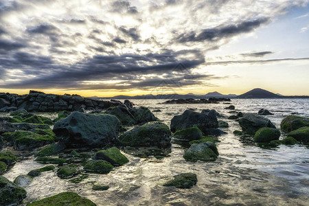 乌多海洋公园卵石岩石高清图片