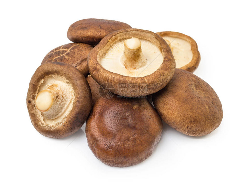 蘑菇是一种健康的食品它图片