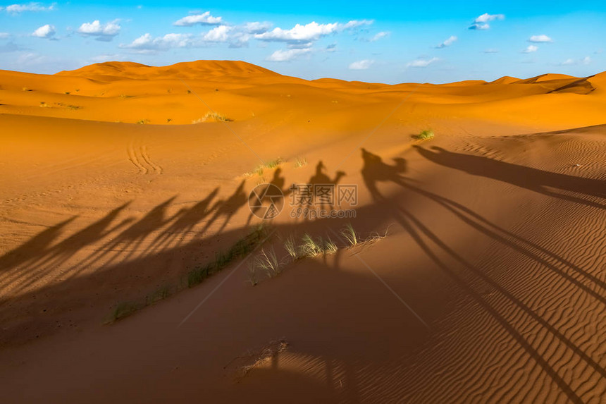 ErgChebbi撒哈拉沙漠Merzouga图片