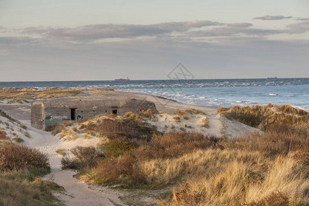 丹麦北部斯卡恩附近的海滩图片