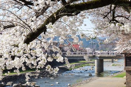 中桥Ryokochi公园在内的宫川河与Enakogawa河之间的地区背景