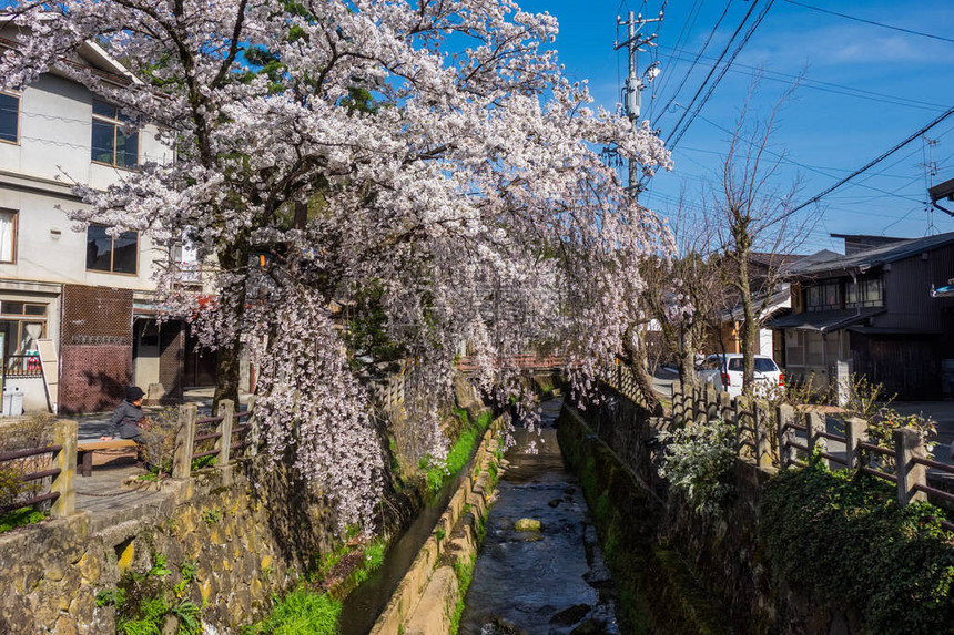 Ryokochi公园在内的宫川河与Enakogawa河之间的地区图片