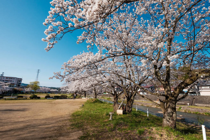 Ryokochi公园在内的宫川河与Enakogawa河之间的地区图片