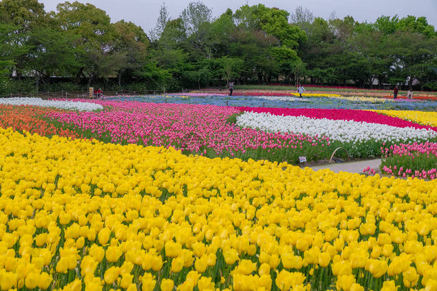 日本著名的花园图片