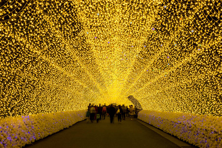 Nabananosato的光隧道冬季照明是日本名古屋市附图片