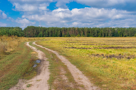 夏季末乌克兰风景与通向森图片