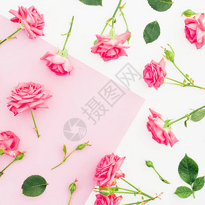粉红和白色背景有粉红色玫瑰花框图片