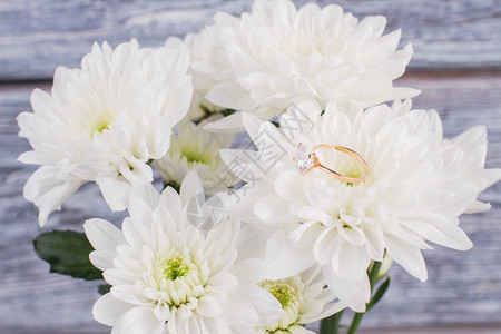 白色花朵上的钻石戒指一束带金色订婚戒指的白菊花图片