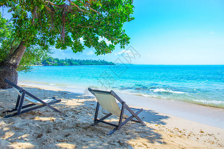 海滩椅子位于树木海洋和图片