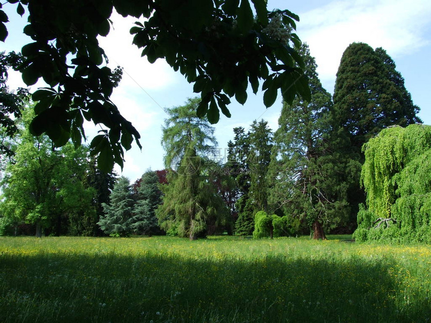克罗伊茨林根的公园和植物园Seeburgpark图片