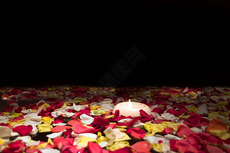 红玫瑰花瓣和在水碗中的蜡烛图片