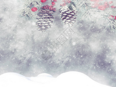 冬季圣诞节背景有雪绒枝背景图片
