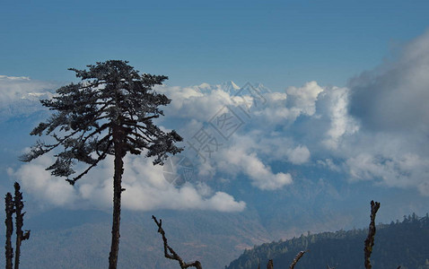 从3250m的高度看雪覆盖的喜马拉雅山印度东部图片