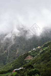 阿那加阿纳加山脉特内里夫山阿纳背景