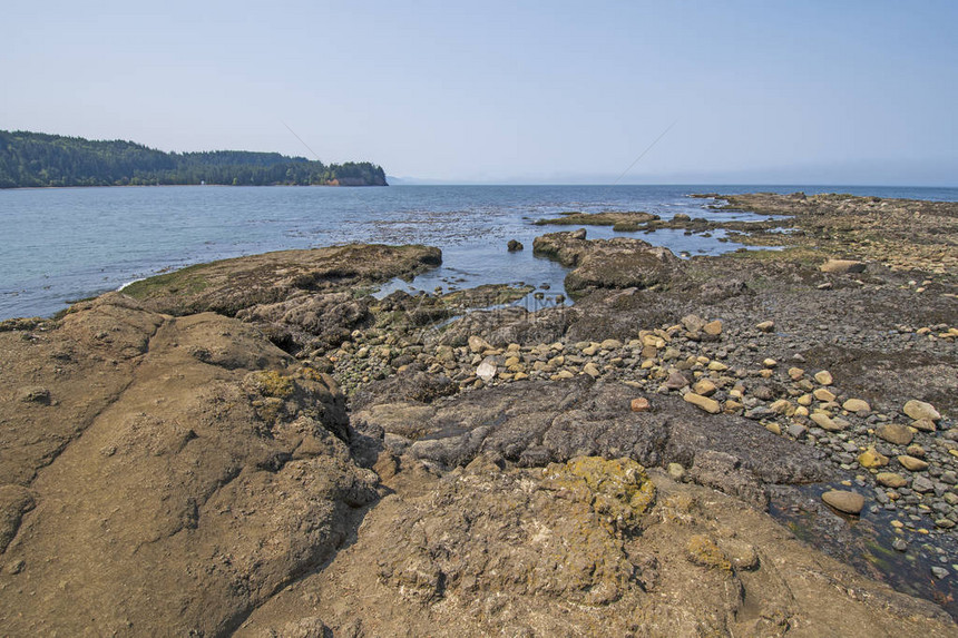 华盛顿盐溪游乐区奥林匹克半岛海岸舌点岩石海岸的退潮图片