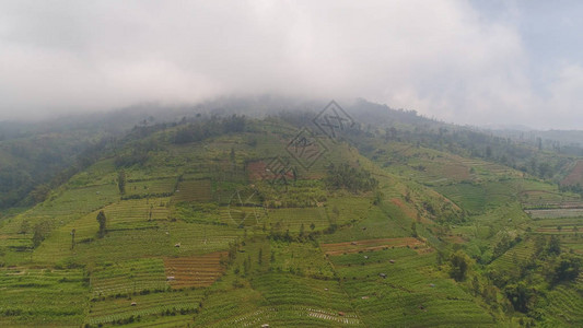 山雾和云中的农田图片